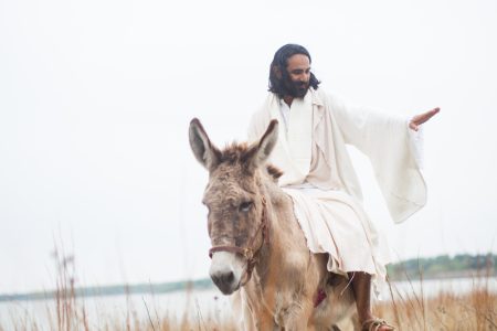 Jesus riding on a donkey's colt