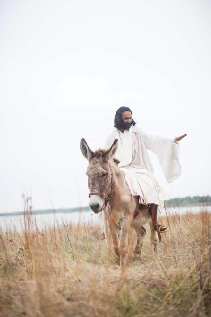 Mark 11 Jesus's triumphal entry, riding a colt